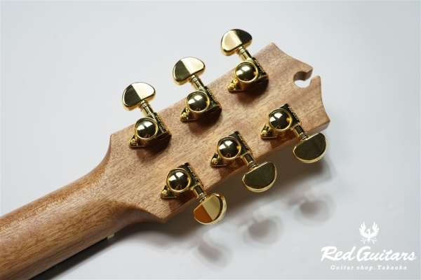 EBG808 ARTIST